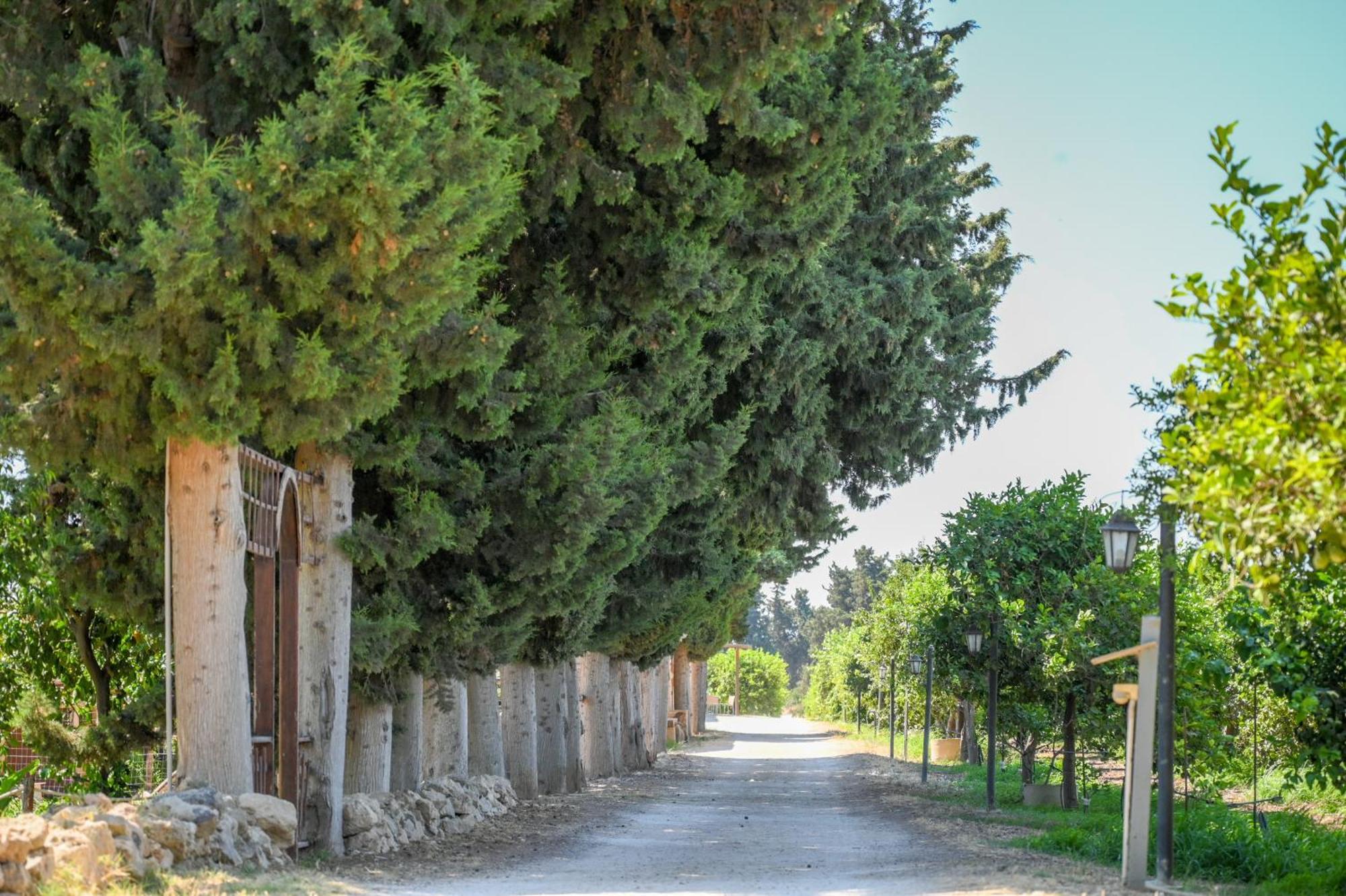 נוטו Agriturismo Torre Vendicari מראה חיצוני תמונה